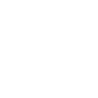 ProTouch Logo
